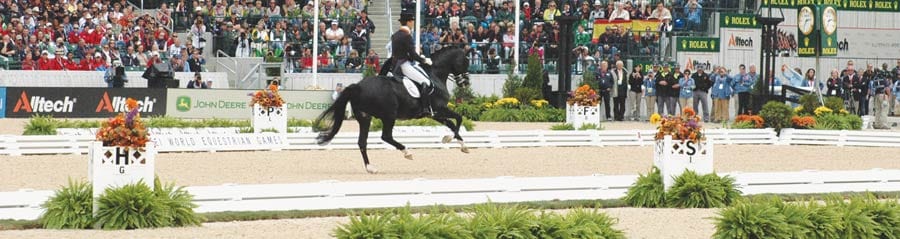 Brentina Dressage Arena at WEG Brentina Dressage Arena at WEG