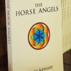 The Horse Angels front cover
