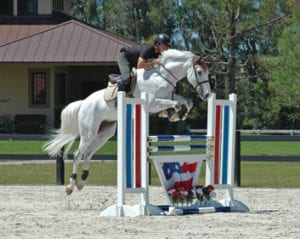 Premier Equestrian horse jumps. Safe, durable, weather resistant, HDPE molded and UV resistant PVC. The Arena Company.