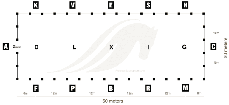 How To Build And Set up A Dressage Arena Premier Equestrian