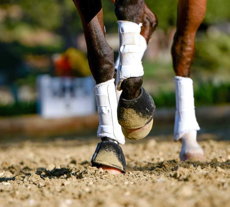 Premier Equestrian Discontinues Sale and Distribution of GGT Footing