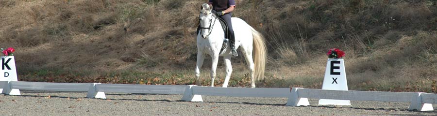 Wellington Dressage Arena with Tower Letters Wellington Dressage Arena with Tower Letters