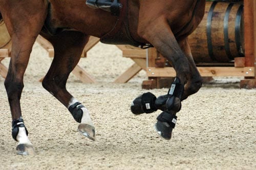 WEG horse cantering on arena footing
