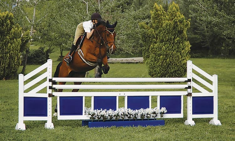 Two tone jump standards and gate