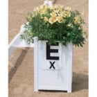 Dressage arena flower box
