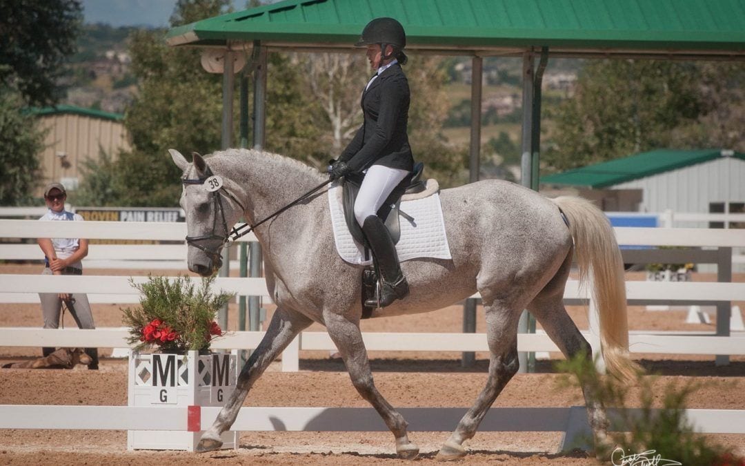 Premier Equestrian Set the Framework for Competition This Month at the Colorado Horse Park