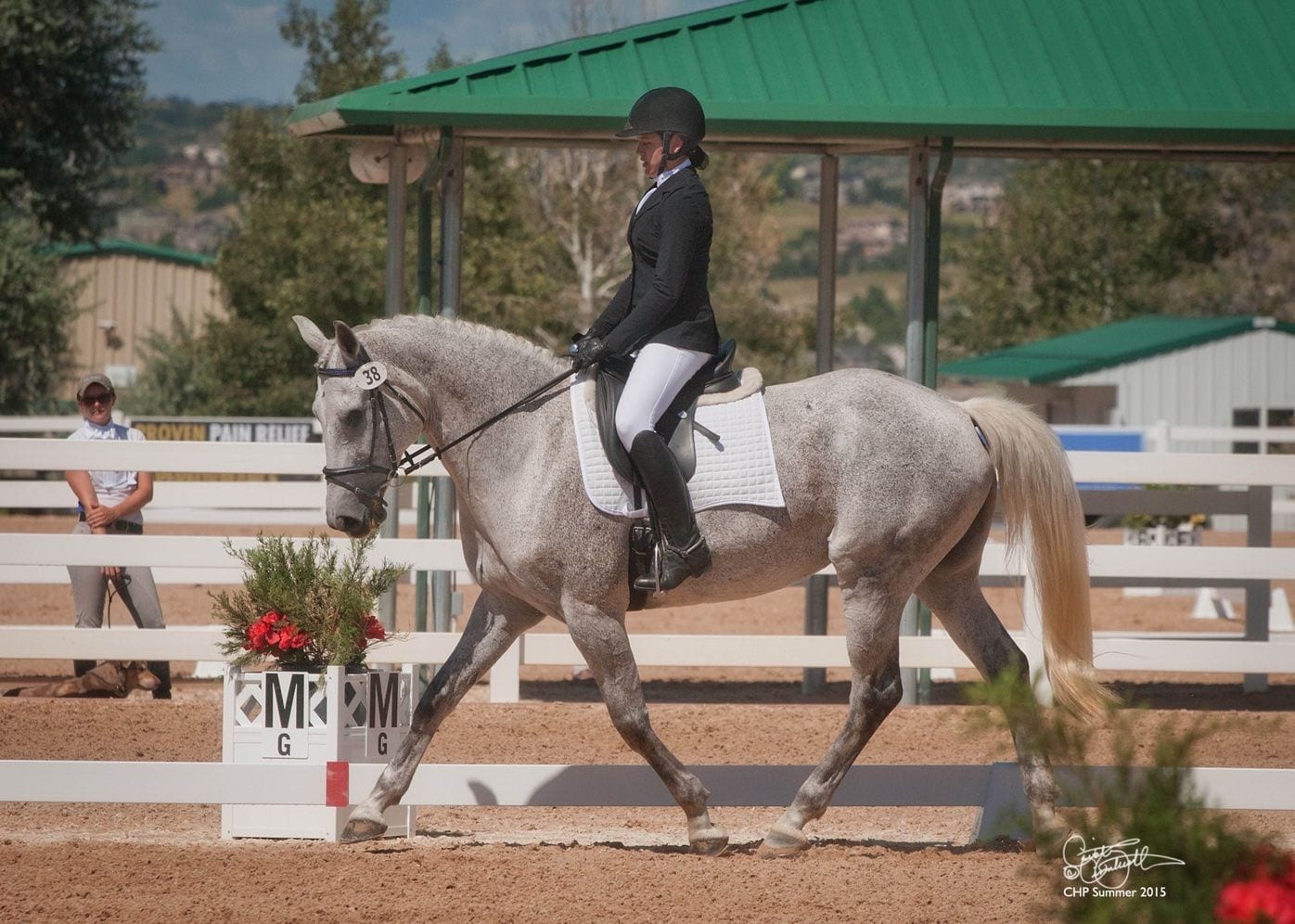 The Meaning Behind Dressage Arena Letters