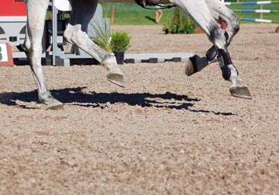 Premier footing for riding surfaces Premier footing for riding surfaces
