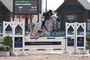 Premier Equestrian sponsor jump at TIEC