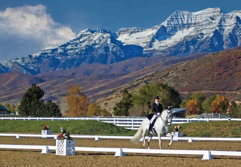 Premier Sundance dressage arena and flower boxes Premier Sundance dressage arena and flower boxes