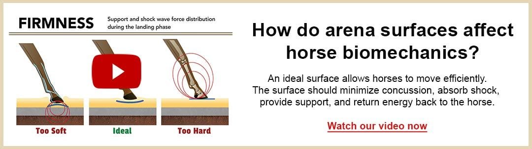Banner how do arena surfaces affect horse biomechanics