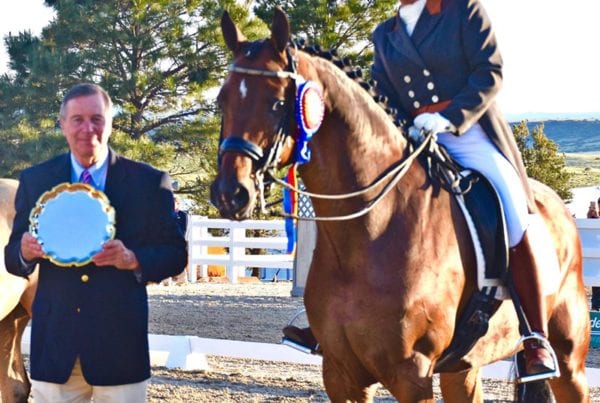 Premier Equestrian Award CHP Morgan