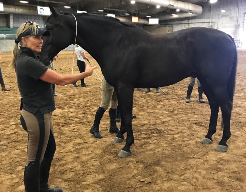 What You Didn’t See at Premier Equestrian’s Salt Lake City Linda Parelli Master Class