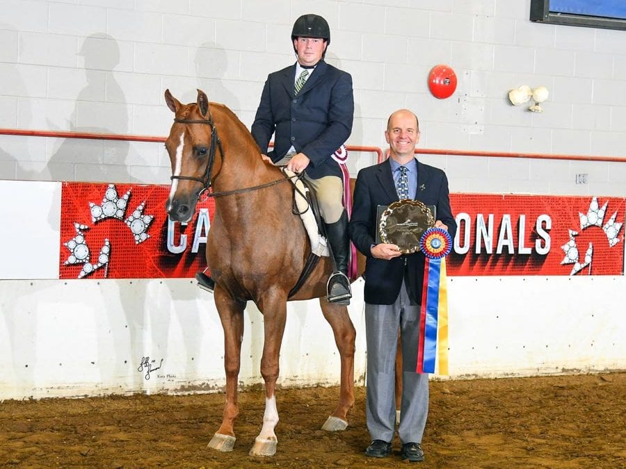 Bob Bennett Shines with Premier Equestrian Award at the Arabian Horse Association’s Canadian Nationals