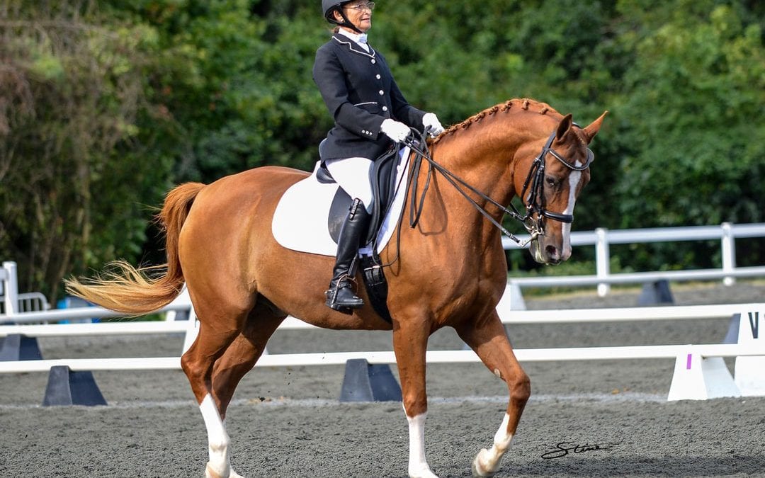 Nina Toon Honored with Premier Equestrian Sportsmanship Award at the AHA Sport Horse Nationals