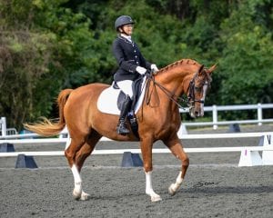 Premier_Equestrian_Nina_Toon