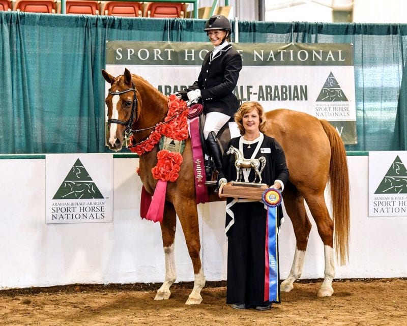 Premier_Equestrian_Nina_Toon_award Premier Equestrian