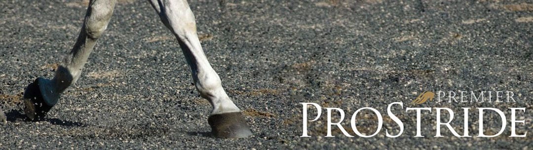 ProStride Rubber Arena Footing