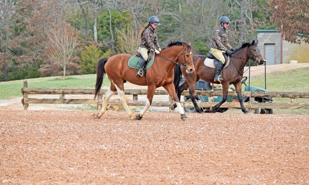 Arena Footing Specialist Premier Equestrian Brings its Superior Products to the Beautiful Texas Rose Horse Park