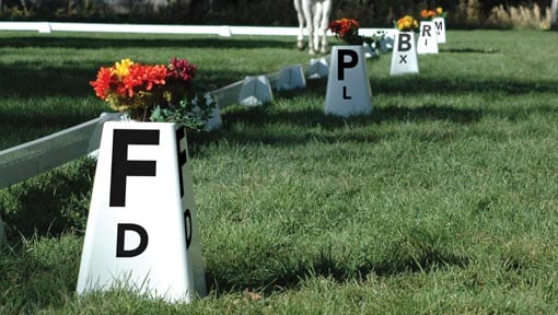 Sundance Arena with Berkshire Letters and dressage horse