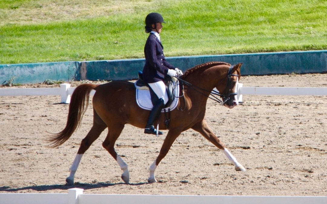 Amy Miller Wins Blankets of Roses And The Premier Equestrian Sportsmanship Award During The AHA Sport Horse Nationals