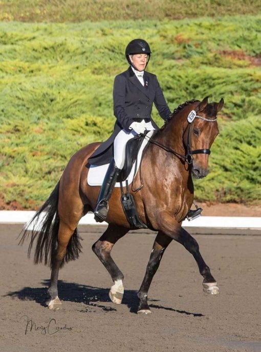 Sue MintonEdison and Zo’dan Win the USDF Region 6 Intermediate I