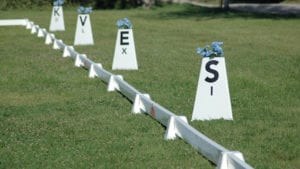 Pyramid dressage arena with Tower Letters on grass 510x288