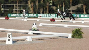 Dressage arena Berkshire Letters Sundance Arena rings at Global 510x288