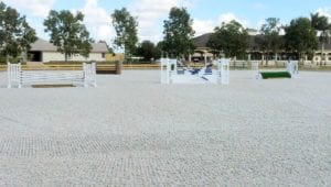 groomed horse arena