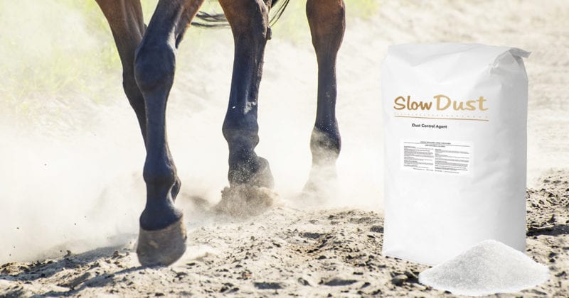 bag of Slow Dust and horse in dust