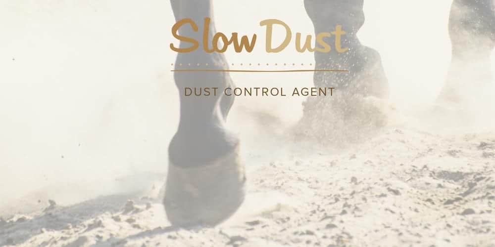 arena dust control additive
