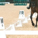 Category Sundance dressage arena 290x230