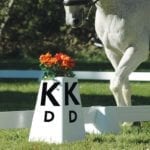 Berkshire Dressage Letters