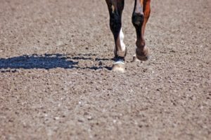 rebecca farm horse arena footing