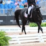 Brentina dressage arena