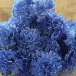 Blue flowers bundle 800x800