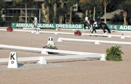 Sundance Arena with Dressage Letters
