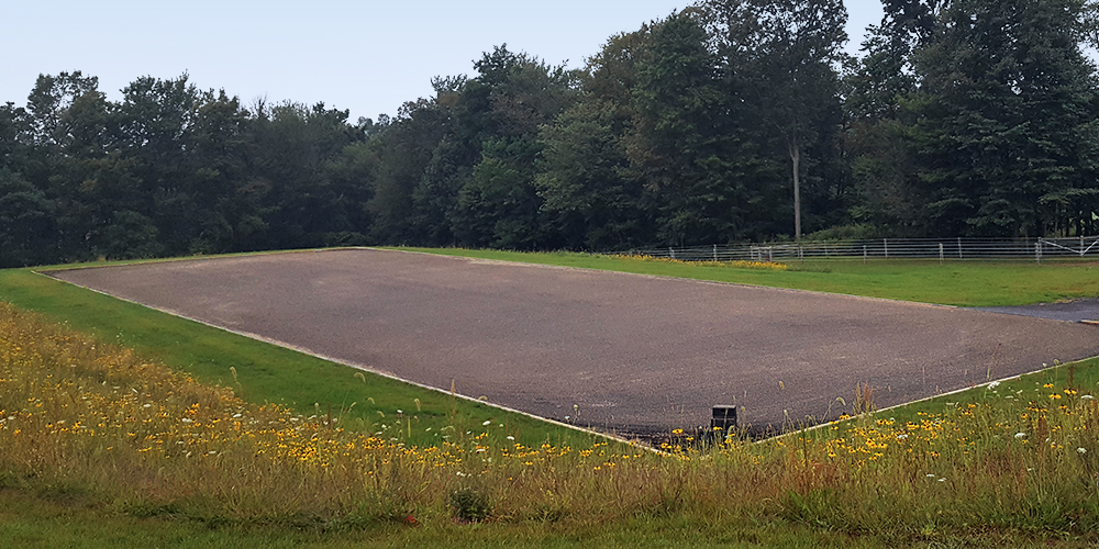 prostride arena footing