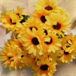 Sunflowers 683SB