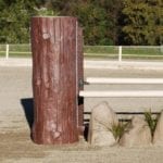 Log horse jump standards