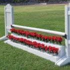 Equestrian Jumps white flower boxes