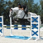 Blue White Liverpool Horse Jumps