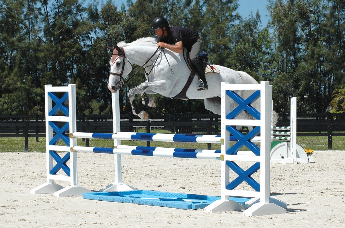 Blue White Liverpool Horse Jumps