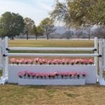 White Picket Equestrian Jumps