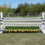 Birch Jump Gate Assembly
