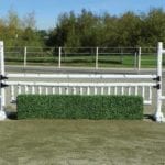 Birch Horse Jump Gate Standards