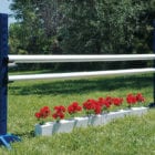 Blue Post equestrian jumps
