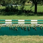 Green Fence Horse Jump Assembly