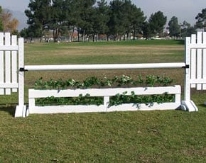 Brush Boxes