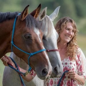 Heidi Zorn Equestrian